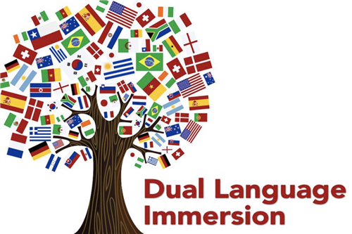 Dual Language Program 